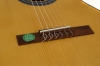 GEWA Student Solid Top Classical Guitar 3/4 Natural Spruce - - alt view 4