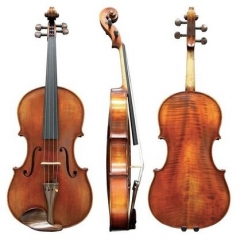 Viola <span class=&quot;count&quot;>(45)</span>