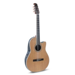 Fretted Instruments