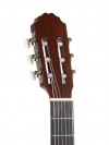 GEWA Basic Plus Classical Guitar 4/4 Natural - - alt view 5