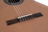 GEWA Student Classical Guitar 4/4 Natural Ceder - - alt view 4