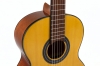 GEWA Student Solid Top Classical Guitar 4/4 Natural Spruce - - alt view 3